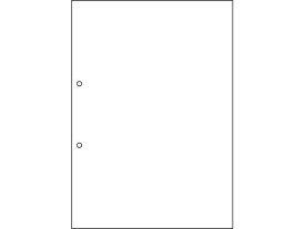 マルチプリンタ帳票(エコノミープライス)A4 白紙 2 2500枚 ヒサゴ BPE2001