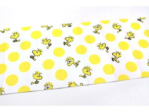 mtCNV[g Peanuts EbhXgbNEhbg J MTCARPT01