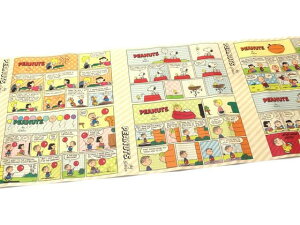 mtCNV[g Peanuts s[ibcER~bNXgCv J MTCARPT03