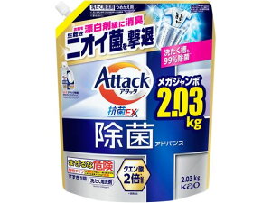 A^bN  AhoX l֗p 2030g KAO