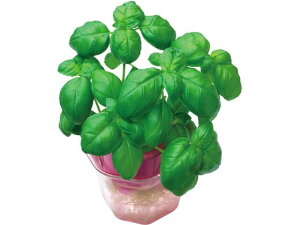 �o�W�� 0.5mL ���� �A�[�e�b�N 102989