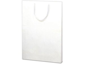 ��񂰑� �z���p 335×45×460mm 10�� �^�J�� 50-6800