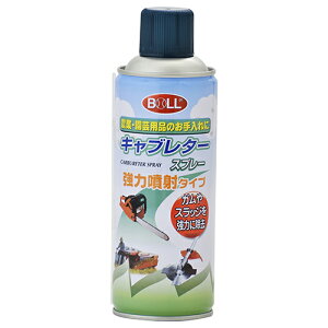 V |pLu^[Xv[ [KS-420SG]