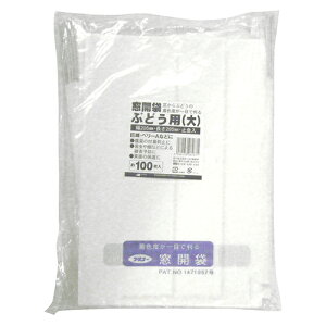 {}^C ʎ܁@100 [uhEE }hcL]