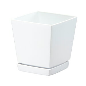 }g NG`[|bg@Mt5 [0.8L zCg]