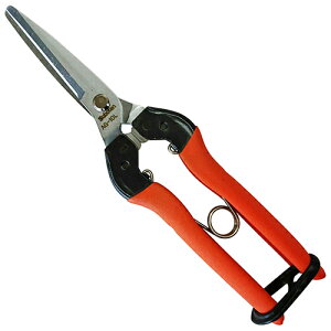 T{e Ռz@p [No.AG-10L]