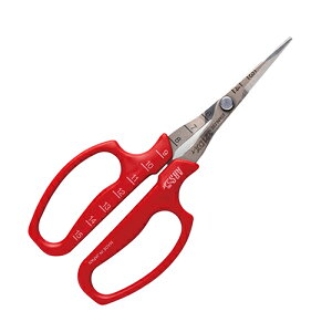 AX ԂǂE@niBPj [321DX-T-BP]