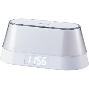 CXXs[J[ACX[dNbNiiCgCgtj 6194