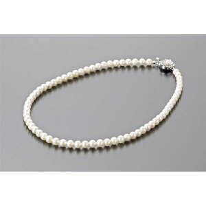 p[Ep[EREx AR{^lbNX NS6