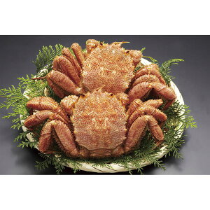 kCY{Cт320g×2 320*2