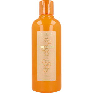 �v���|�����X �}�E�X�E�H�b�V�� ����t 1000mL