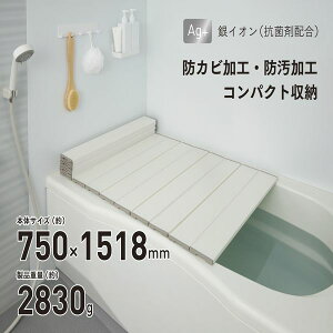 AGX [tt^ L-15 750×1500mmp zCg