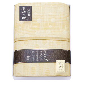 B̕ E[܏dDK[[Pbg SAW-15001