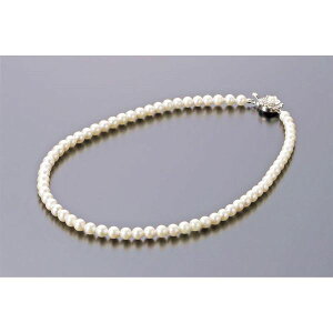 p[Ep[EREx AR{^lbNX NS6