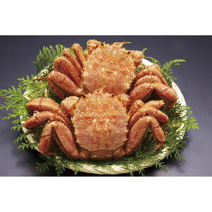 kCY{Cт320g×2 320*2yizmn