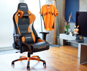 AKRacing Q[~O`FA Pro-X V2 ǔWCAc R{ m IW n