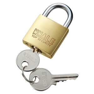 eZLeB(싞  No.1) [SLE-1L-1N]