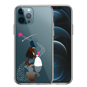 iPhone12 Pro ʃ\tg wʃn[h nCubh NA P[X Ɩb   j Pi