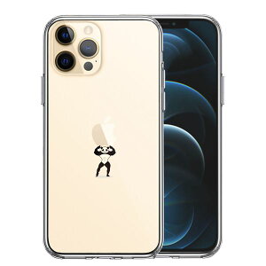 iPhone12 Pro ʃ\tg wʃn[h nCubh NA P[X p_ dʋ ܂  Pi