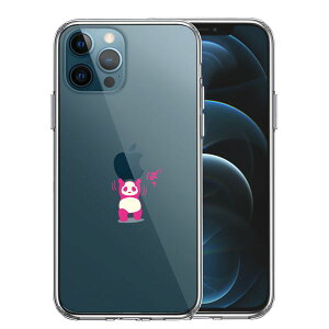 iPhone12 Pro ʃ\tg wʃn[h nCubh NA P[X p_ dʋ w͊ sN Pi