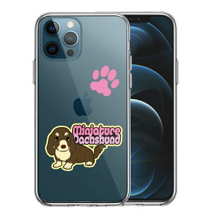 iPhone12 Pro ʃ\tg wʃn[h nCubh NA P[X _bNXtg 2 Pi