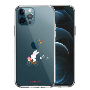 iPhone12 Pro ʃ\tg wʃn[h nCubh NA P[X `  rbg ҂҂ Pi