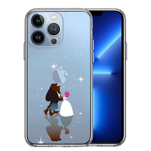 iPhone13 Pro ʃ\tg wʃn[h nCubh NA P[X WPbg Ɩb Pi