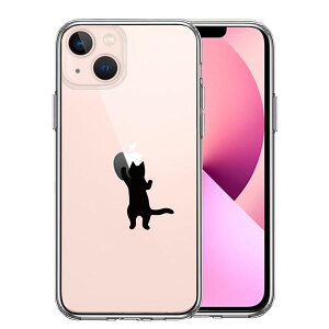 iPhone13 ʃ\tg wʃn[h nCubh NA P[X ɂ  킳  Pi