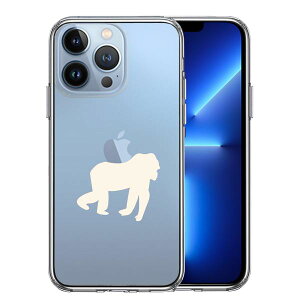 iPhone13 Pro ʃ\tg wʃn[h nCubh NA P[X S  ^ 2 Pi