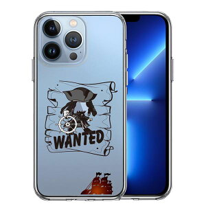 iPhone13 Pro ʃ\tg wʃn[h nCubh NA P[X C D Pi