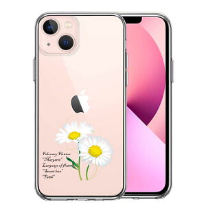 iPhone13mini ʃ\tg wʃn[h nCubh NA P[X ։ 2 }[Kbg Pi