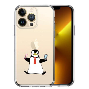 iPhone13 Pro ʃ\tg wʃn[h nCubh NA P[X yM ዾƃX}z Pi