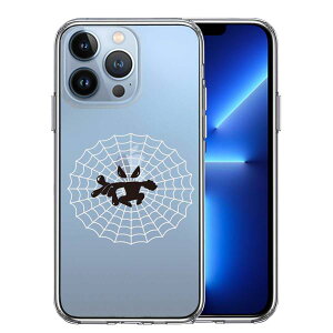 iPhone13 Pro ʃ\tg wʃn[h nCubh NA P[X fpfB w偒j 2 Pi