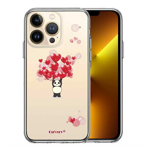 iPhone13 Pro ʃ\tg wʃn[h nCubh NA P[X p_ n[g dʋ  2 Pi