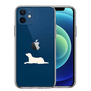 iPhone12mini ʃ\tg wʃn[h nCubh NA P[X  uh[go[  Pi