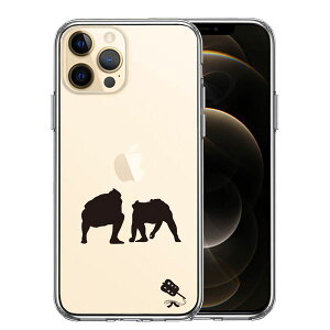 iPhone12 Pro ʃ\tg wʃn[h nCubh NA P[X o  d؂ Pi