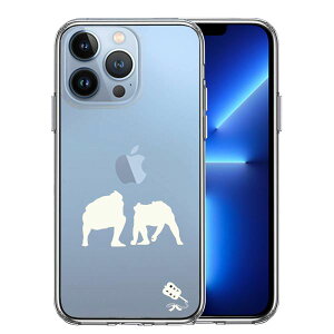 iPhone13 Pro ʃ\tg wʃn[h nCubh NA P[X o  d؂  Pi