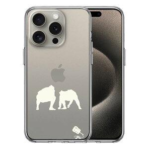 iPhone15 Pro ʃ\tg wʃn[h nCubh NA P[X o  d؂ zCg Pi