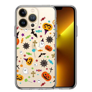 iPhone13 Pro ʃ\tg wʃn[h nCubh NA P[X nEB Pi