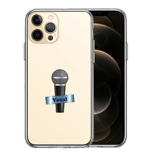 iPhone12 Pro ʃ\tg wʃn[h nCubh NA P[X }CN H[J Pi