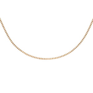 _jGEFg DANIEL WELLINGTON Elan Box Chain Necklace Short RG lbNX DW00400553 fB[X [YS[h