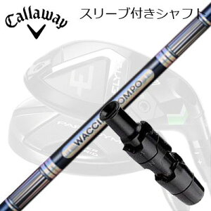 LEFC G[g/p_C [eBeBpX[utVtg N`R| GR301 [eBeBLEFC ELYTE/PARADYM pX[utVtg WACCINE COMPO GR301 UT