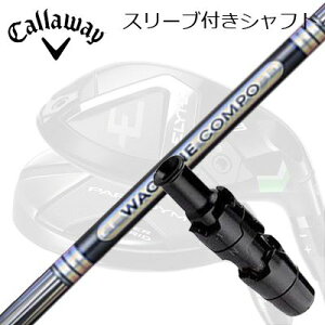 LEFC G[g/p_C [eBeBpX[utVtg N`R| GR501/601 [eBeBLEFC ELYTE/PARADYM pX[utVtg WACCINE COMPO GR501/601 UT