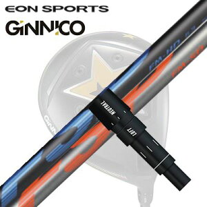 EON SPORTS GINICO DRIVERpX[utVtg FSP FM-HD/FM-SDCIX|[c WjR hCo[pX[utVtg ~Xe[ FSP FM-HD/FM-SD