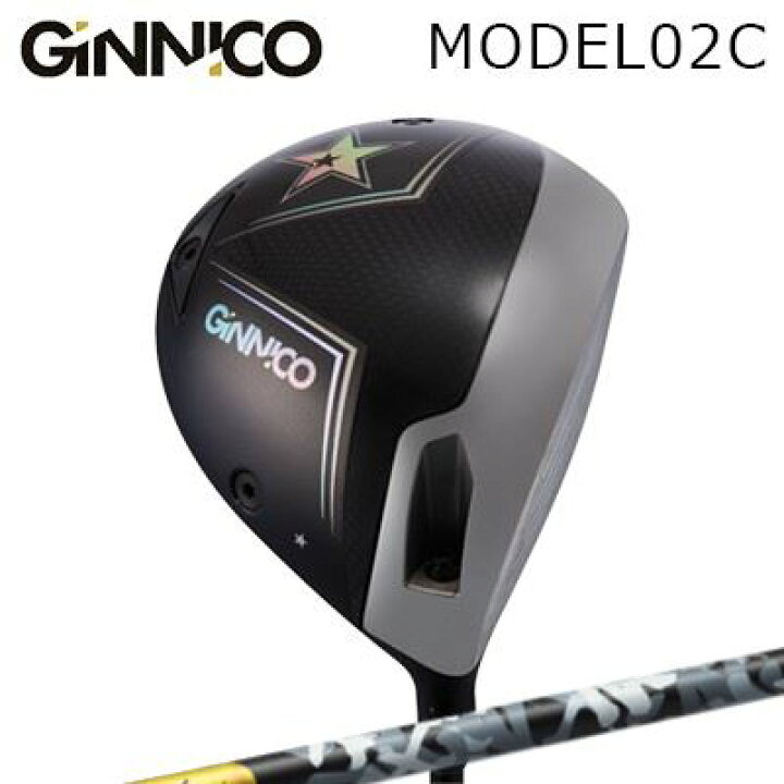 イオンGINNCO MODEL02C ジニコヘッドのみ