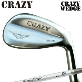 CRAZY WEDGE SteelFiber i CWクレイジー ウェッジ エアロテック スチールファイバー i CW