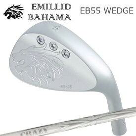 カスタムクラブ エミリッドバハマ EB-55 ウェッジ クレイジー アロー アイアン(新デザイン)EMILLID BAHAMA EB-55 WEDGE CRAZY ARROW IRON New Design