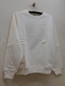 yzArbNXAVIREX@g[i㉺̏