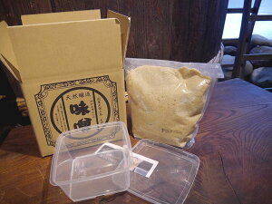 y \񐻑z4u 2{Xi4.5kg y yetjʔNd݉\