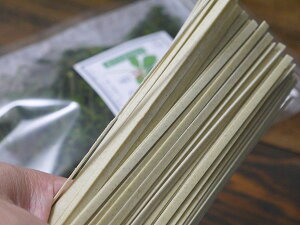 ǂ Ɩpi600gܓ×10Zbgj